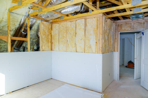 Best Insulation Replacement Services  in Copper Canyon, TX